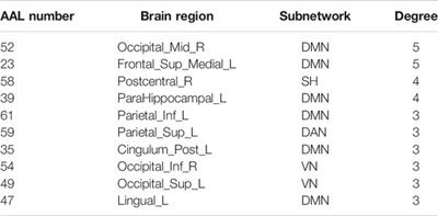 Multiple Connection Pattern Combination From Single-Mode Data for Mild Cognitive Impairment Identification